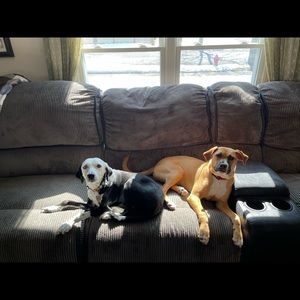 Meet your Posher, Jorge